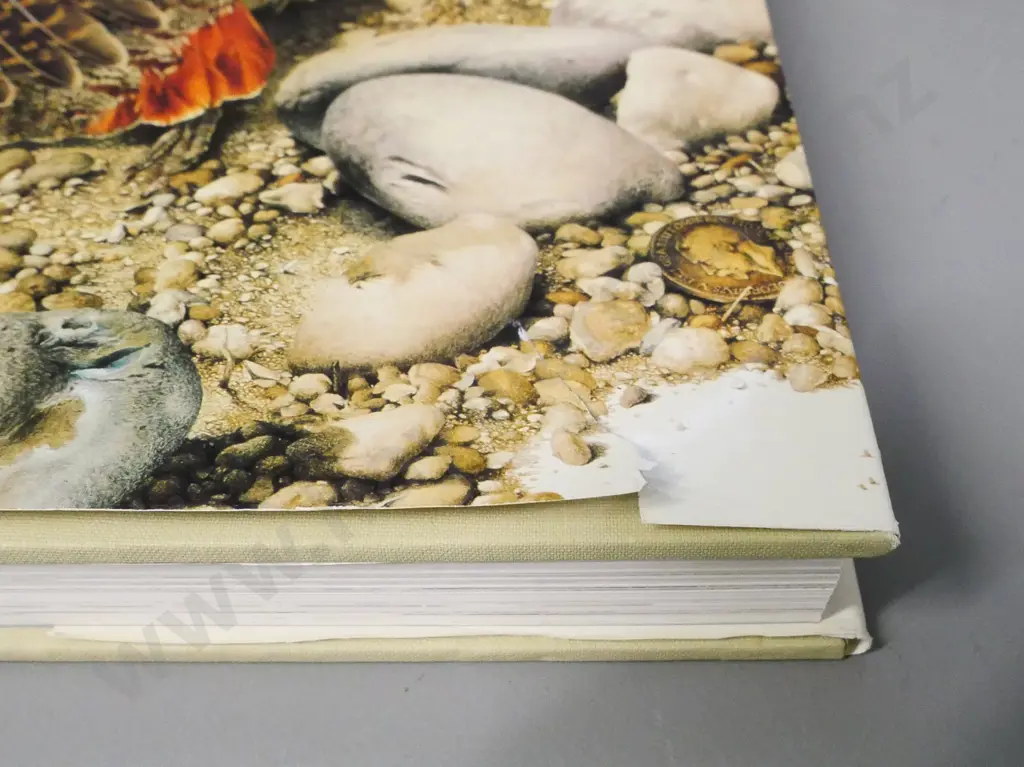 slip-cased large hard hard cover book - Raymond Ching - The Bird Paintings - pub. 1978 - tear to DJ, otherwise V.good Image 1++