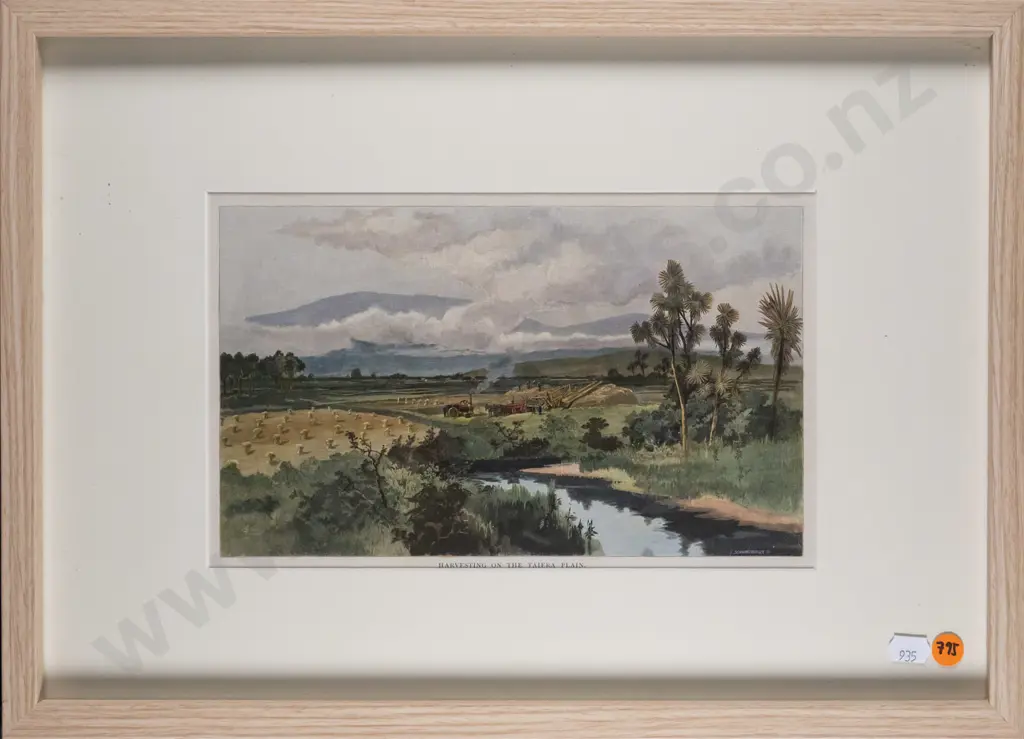 framed vintage hand coloured engraving - Harvesting on the Taieri Plain H-160 W-250 Image 1++