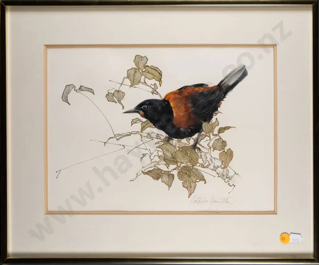 Catherine Hamilton - framed watercolour and ink - North Island Saddleback H-225 W-310 Image 1++