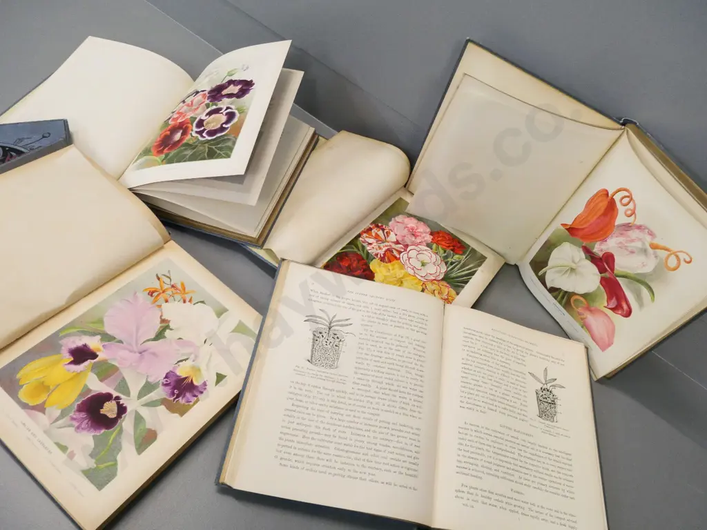 late 1890s 6 vol. set The Flower Grower's Guide by John Wright - w/colour plates, some foxing, incl. receipt from 1905. Image 1++