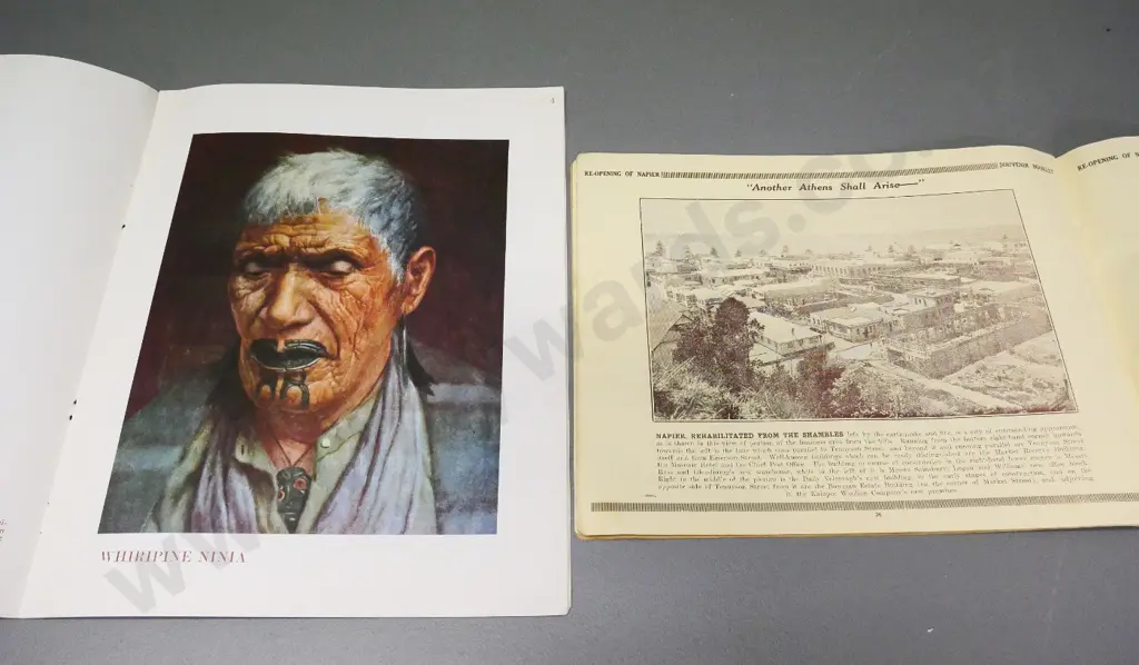 2 publications - New Zealand Paintings of C.F. Goldie (binding ribbon loose) and photo book The New Napier - Image 1++