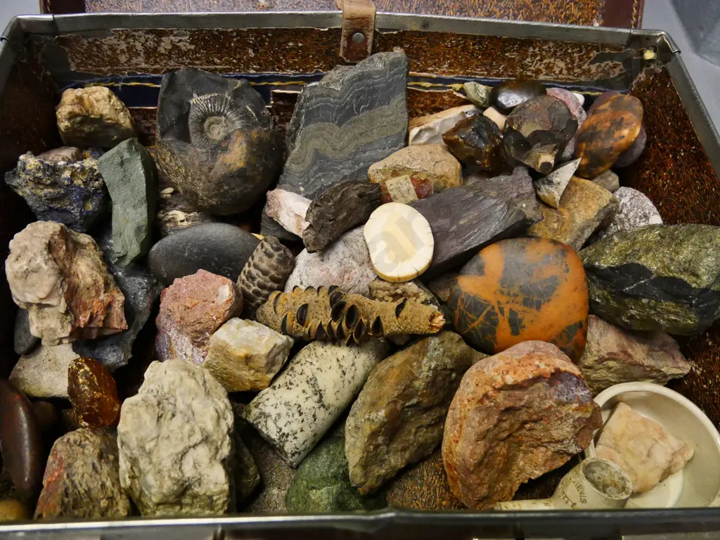 various rock, mineral, kauri gum and fossil samples in a small leather suitcase - case is H-140 W-400 D-290 Image 1++