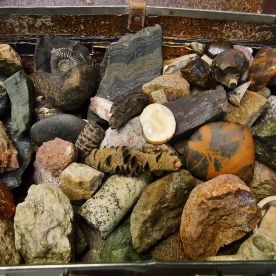 various rock, mineral, kauri gum and fossil samples in a small leather suitcase - case is H-140 W-400 D-290