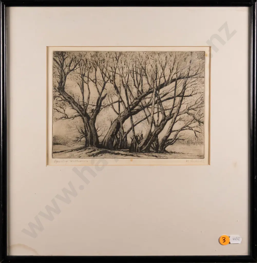 A McClintock - framed etching - Spring Willows H-150 W-210 Image 1++