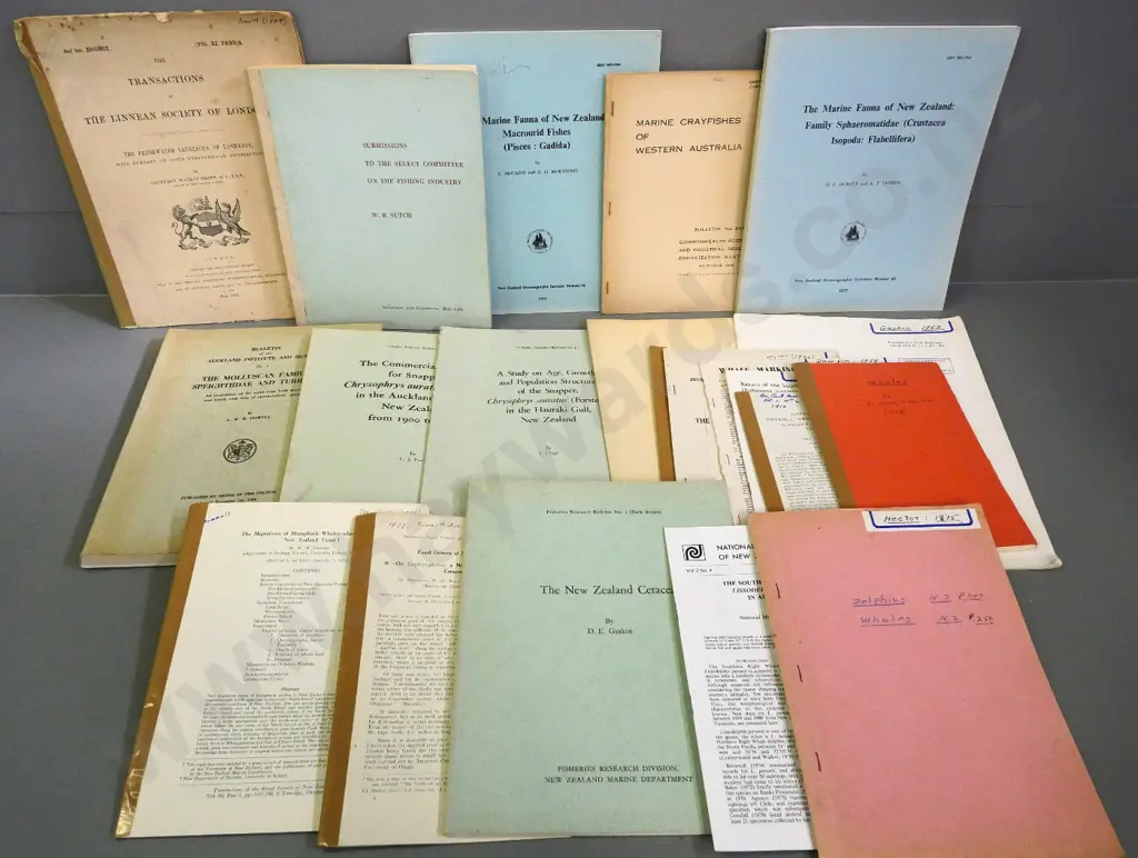 assorted publications on  whales, dolphins, New Zealand fishing industry, etc. Image 1++