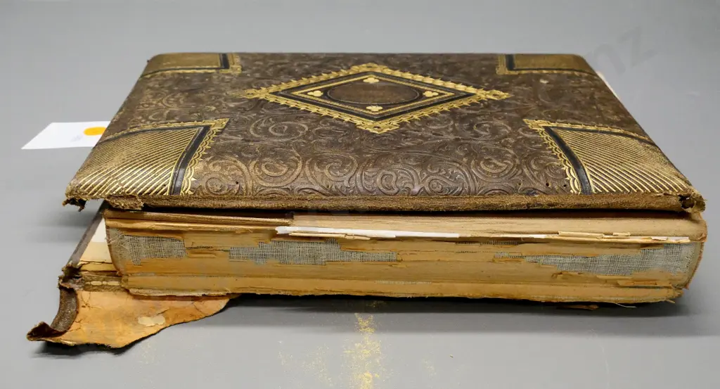 antique photo album in very poor condition, with 15 early photos - De Maus, Port Chalmers, Invercargill, Waimate Image 1++