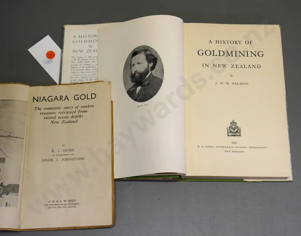 2 books: JHM Salmon - A History of Gold Mining in NZ (wear to DJ) and RJ Dunn - Niagara Gold - overall wear Image 1++