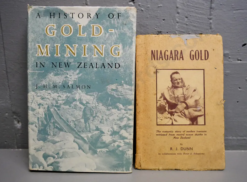 2 books: JHM Salmon - A History of Gold Mining in NZ (wear to DJ) and RJ Dunn - Niagara Gold - overall wear Image 1++