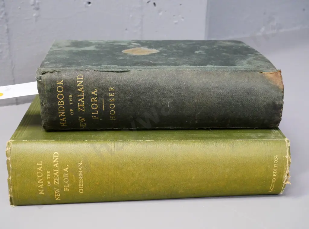 2 botanical books - 1864 Hooker - Handbook of NZ Flora & 1925 Cheeseman - Manual of NZ Flora - wear or damage to both Image 1++