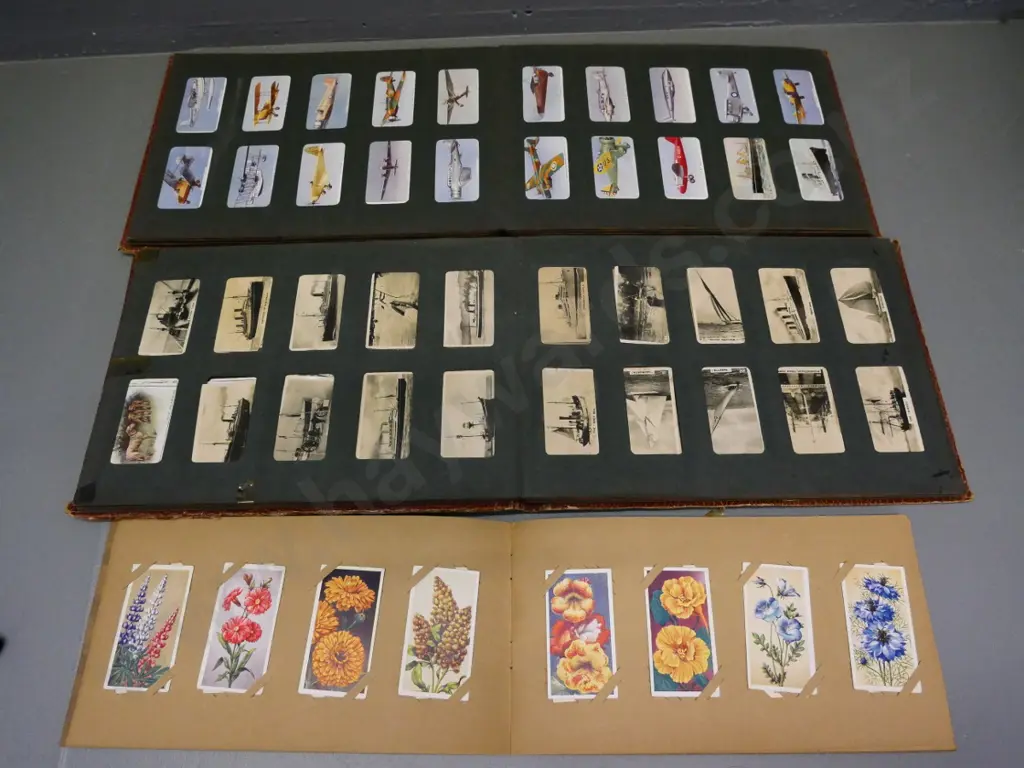 two 3 Castles and one other collector card albums, one full and others with partial contents Image 1++