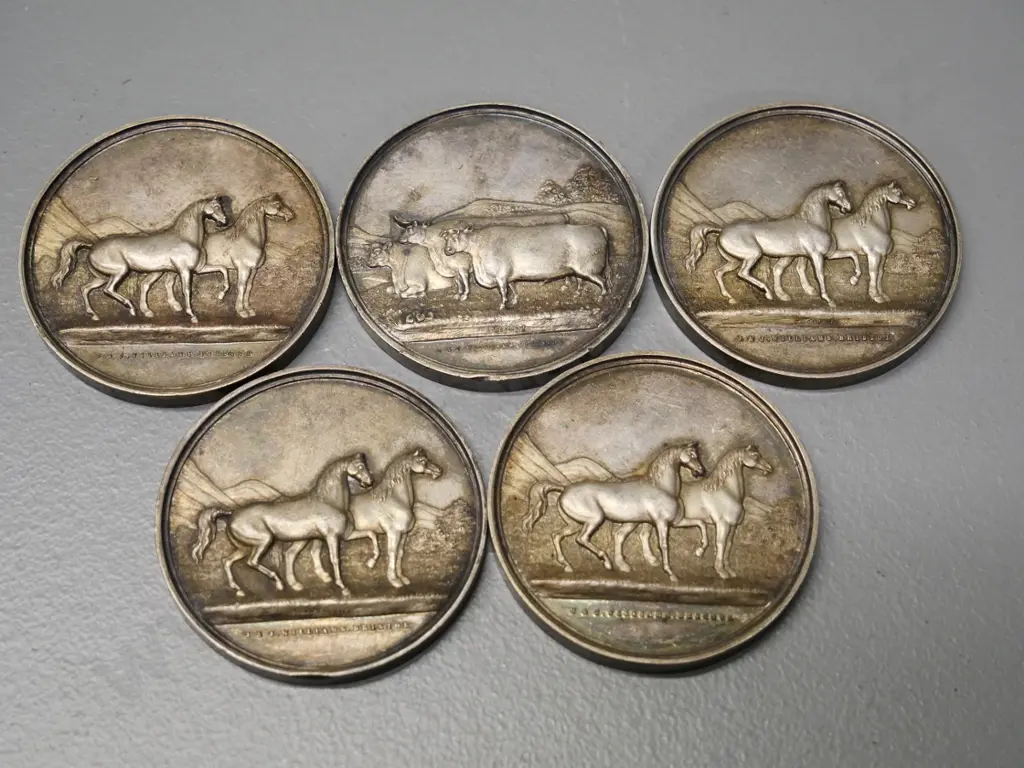 5 engraved agricultural prize medals - Maitland Brothers, Clutha/Tokomairiro 1871, 1872 & 1873 dates Image 1++