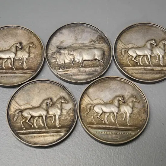 5 engraved agricultural prize medals - Maitland Brothers, Clutha/Tokomairiro 1871, 1872 & 1873 dates