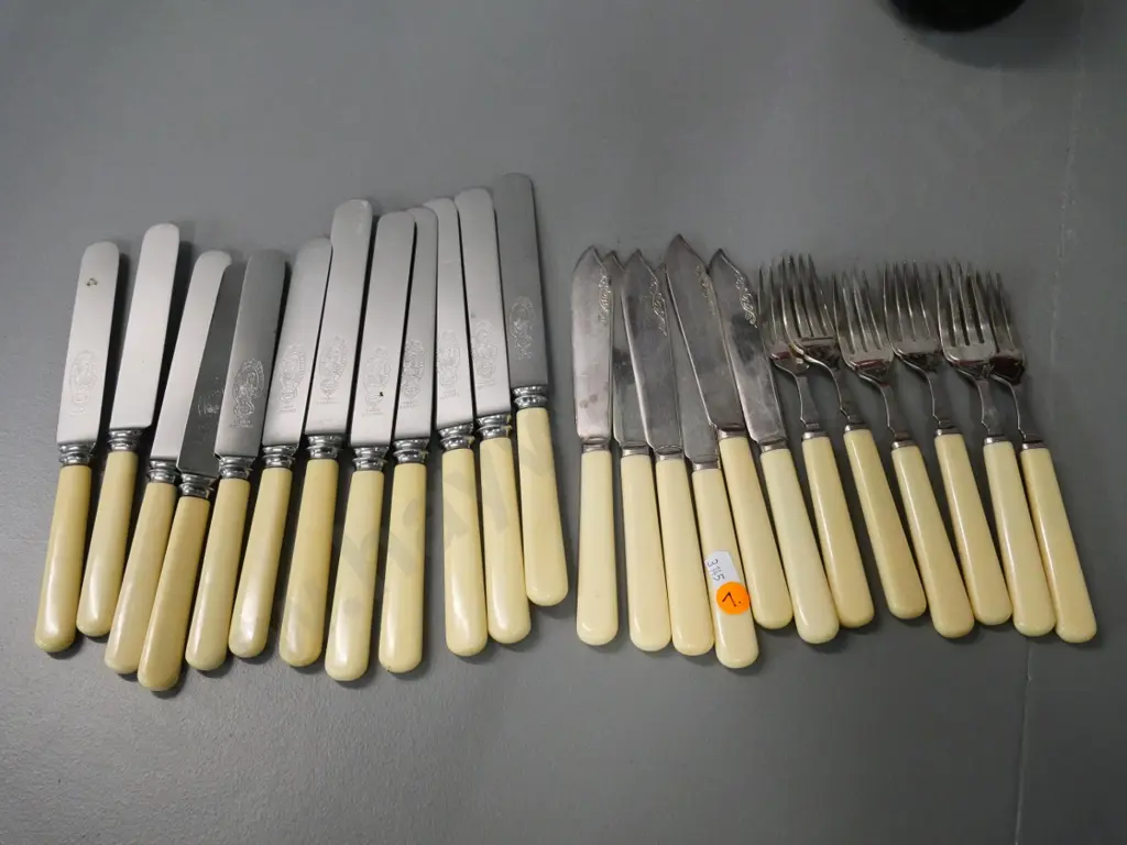 English bone-handled cutlery - 6 place fish knives and forks and 6 place dinner and smaller knives Image 1++