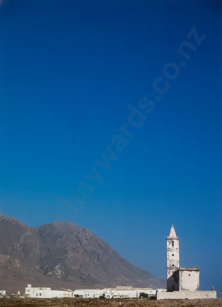 Susanne Mocko 1997 - unframed photographic print - "Firenze Campanile" H460 W345 Image 1++