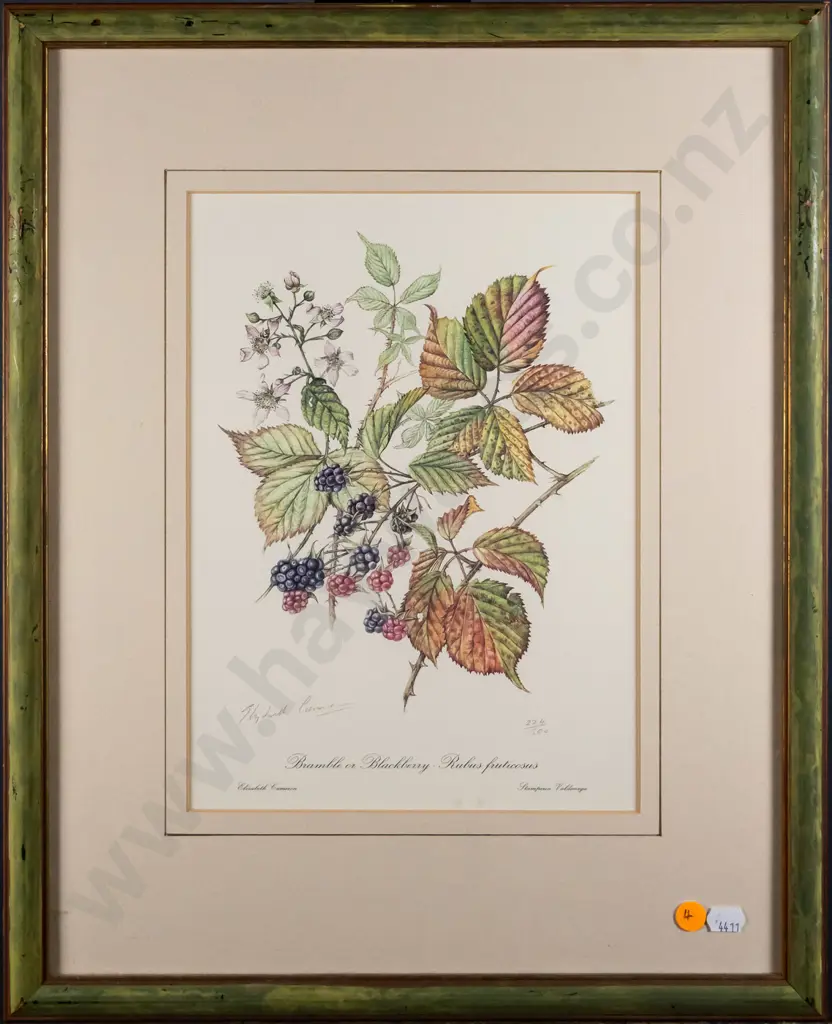 framed signed Elizabeth Cameron botanical print  - Blackberry H-280 W-210 Image 1++