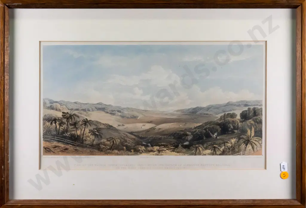 (reproduction?) framed lithograph - view of Wairoa Valley - artist F.R. Stack, pub. Day & Son H230 W420 Image 1++