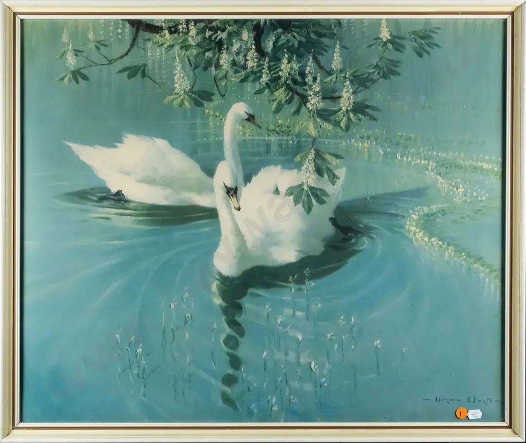 framed Vernon Ward print - swans H-490 W-590 Image 1++