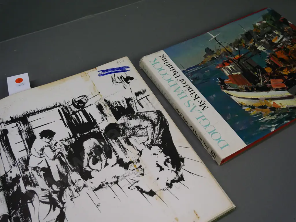 2 New Zealand Art books - Peter McIntyre's New Zealand & Douglas Badcock - My Kind of Painting, wear to dust jackets Image 1++