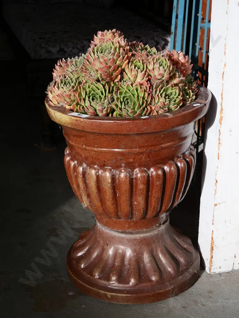 glazed two part garden planter urn with succulents H-500 Image 1++