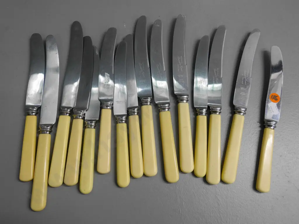 bone handled knives Image 1++