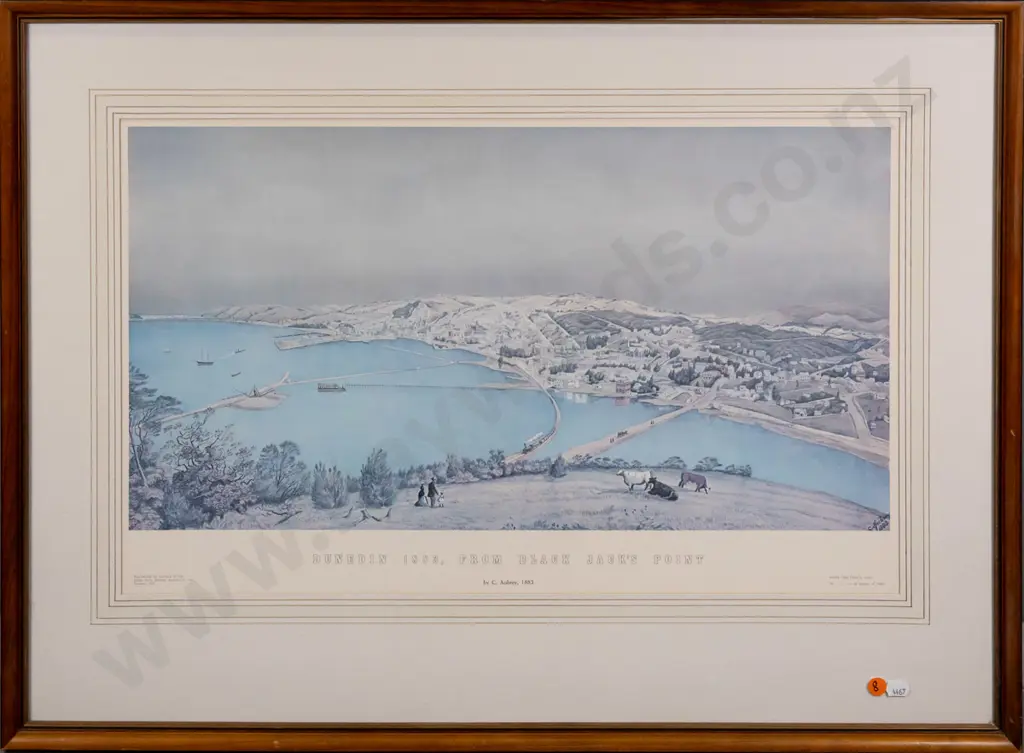 framed hisoric Dunedin print - "Dunedin 1883, From Black Jack's Point" H-340 W-570 Image 1++