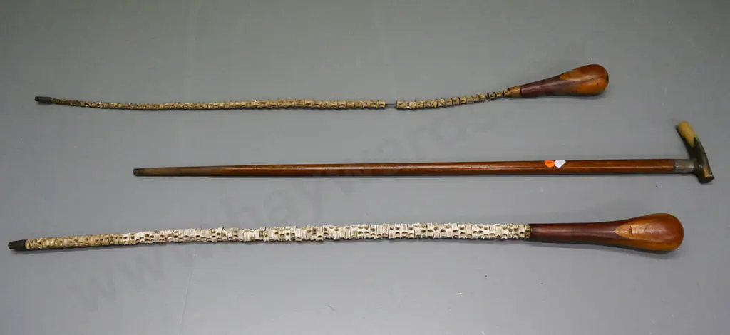 3 walking sticks - one horn-handled, two metal and timber with (shark?) vertebrae, one in restorer's condition Image 1++