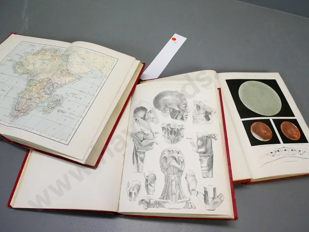 3 volume 'The Home Teacher' with numerous maps and illustrations - ed. Samuel Neil circa 1890s Image 1++