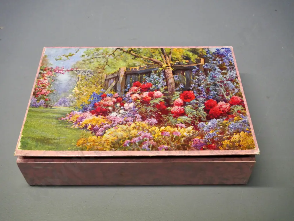 assorted faux tortoise shell and other hair combs in chocolate box Image 1++