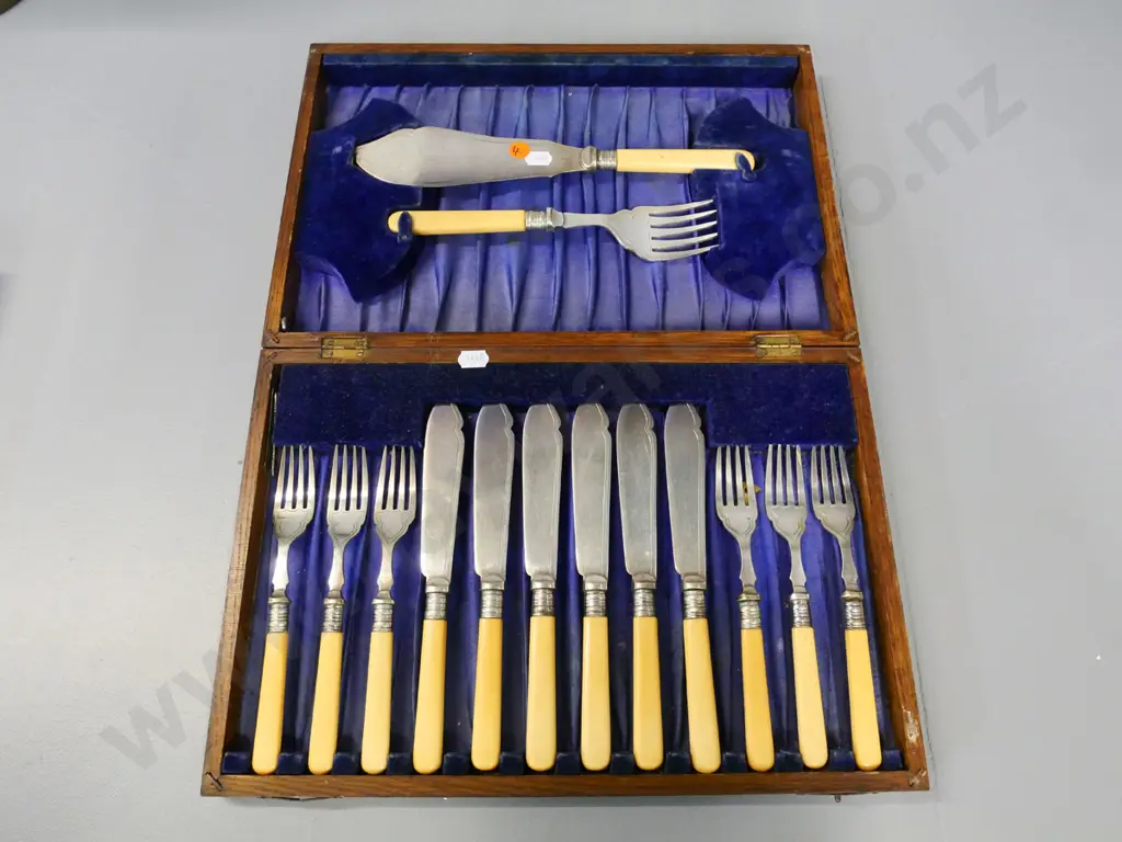 oak-cased cutlery - bone-handled fish set with serving slice and fork - handles slightly darkened Image 1++