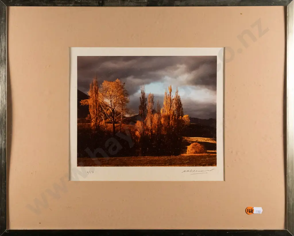 Matheson Beaumont - framed photograph 4/50 - "Autumn Landscape" H-190 W-240 (interior glass needs a clean) Image 1++