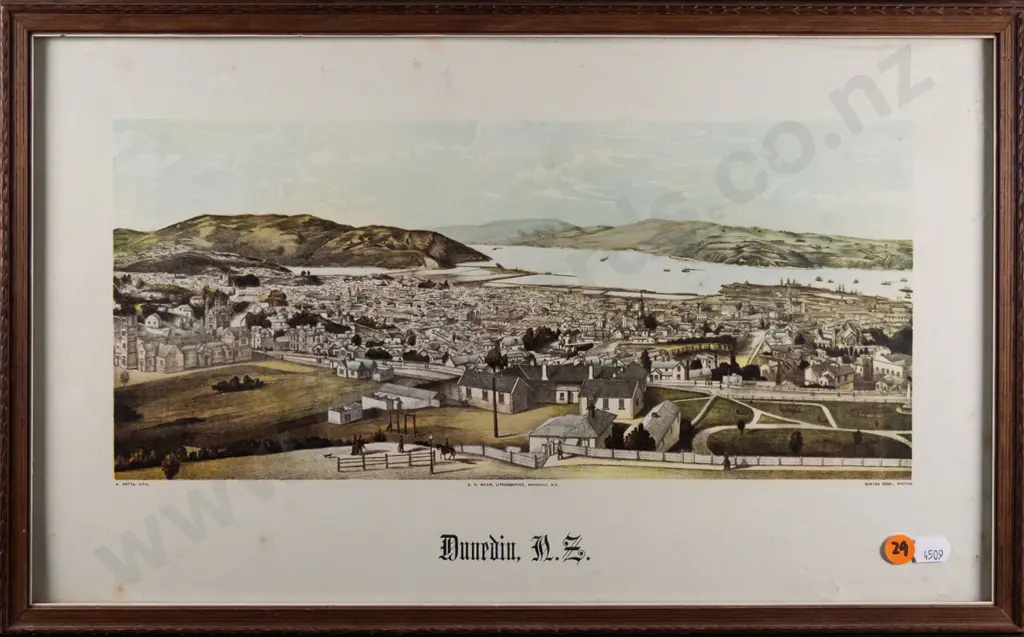 framed historic print- Dunedin scene- some foxing H-160 W-370 Image 1++