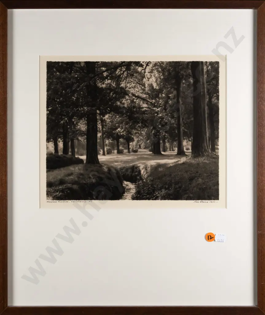 framed George Chance black and white photograph - "Woodland Sunshine Christchurch"  H-205 W-255 Image 1++