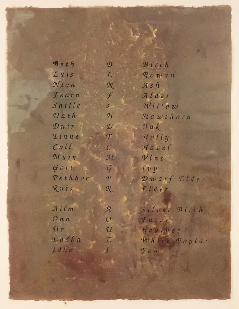 attrib Claire Beynon - framed  ink & watercolour-  tree names  H-640 W-480 Image 1++