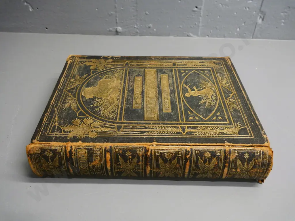 leather-bound illustrated "Life & Explorations of Dr. Livingstone" - some foxing & damage to binding Image 1++