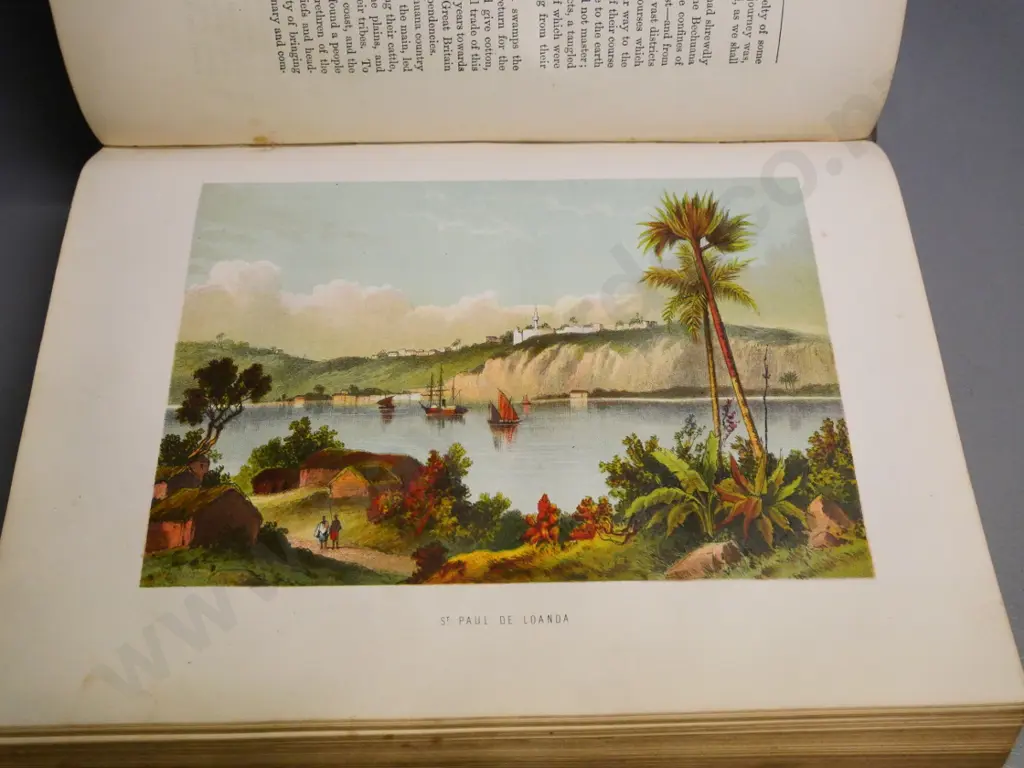leather-bound illustrated "Life & Explorations of Dr. Livingstone" - some foxing & damage to binding Image 1++