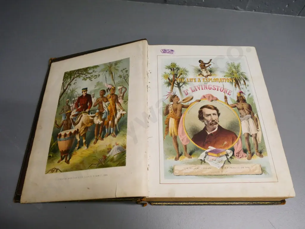 leather-bound illustrated "Life & Explorations of Dr. Livingstone" - some foxing & damage to binding Image 1++