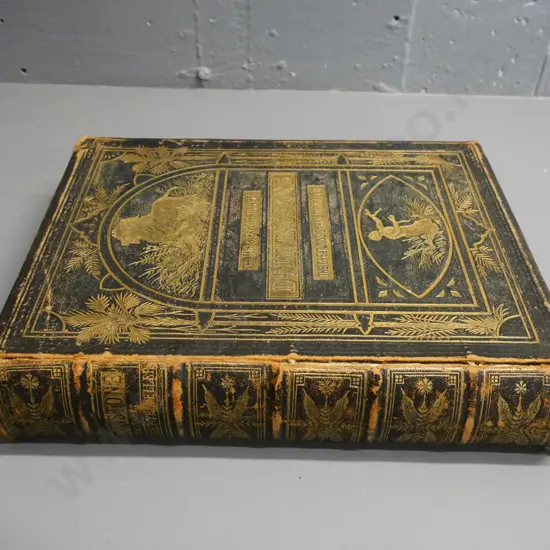 leather-bound illustrated "Life & Explorations of Dr. Livingstone" - some foxing & damage to binding