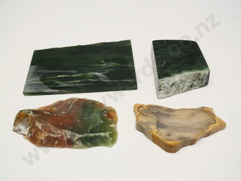 piece of NZ Jade, nephrite jade, petrified wood slice & piece of Indian stone? Image 1++