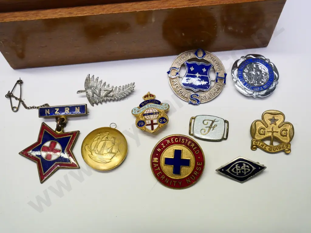 9 asstd badges - nurses, British Empire exhibition, girl guide etc in wooden box Image 1++