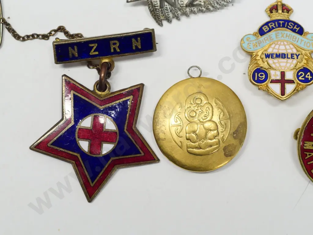 9 asstd badges - nurses, British Empire exhibition, girl guide etc in wooden box Image 1++