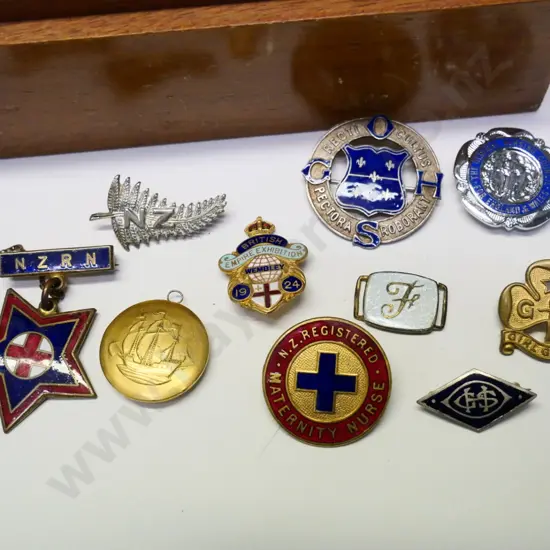 9 asstd badges - nurses, British Empire exhibition, girl guide etc in wooden box