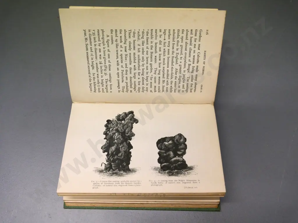 book: Charles Darwin - Vegetable Mould and Earthworms 1904 "Thirteenth Thousand - With Illustrations" Image 1++