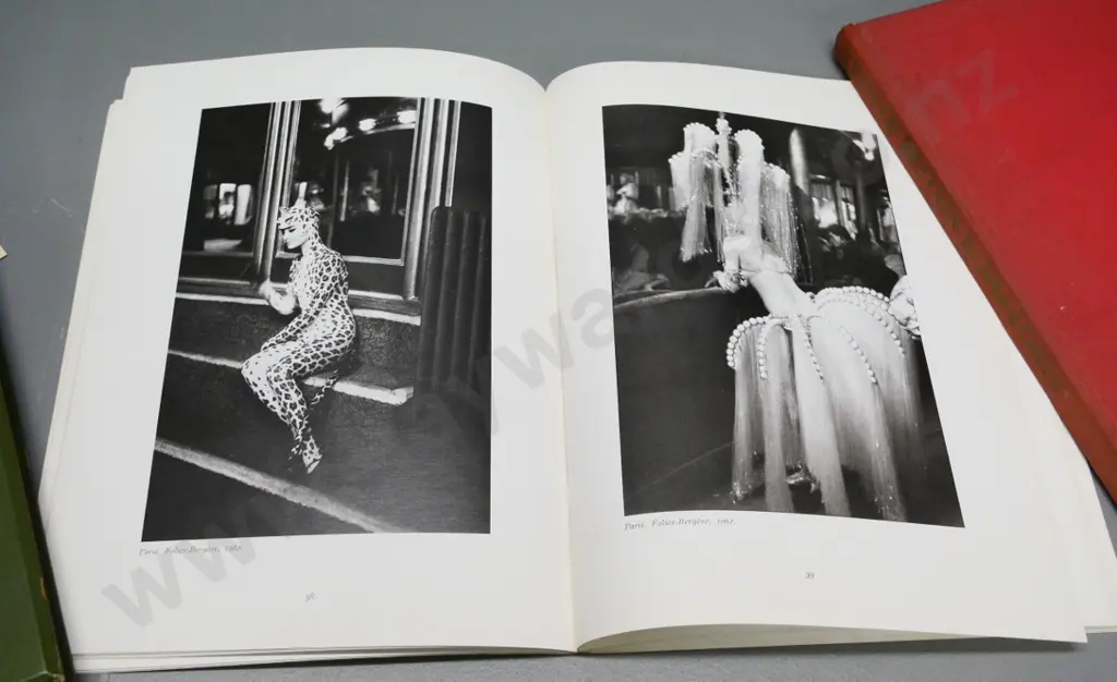 2 photo books - Intimacies by Edouard Boubat and Birds of Britain (1967 John Green fashion & model photos) Image 1++