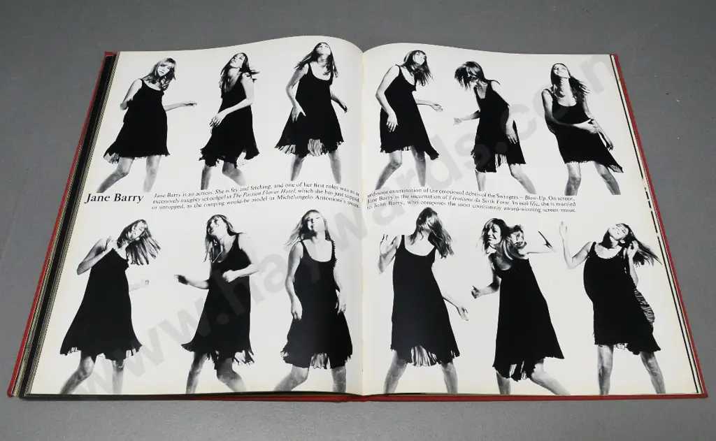 2 photo books - Intimacies by Edouard Boubat and Birds of Britain (1967 John Green fashion & model photos) Image 1++