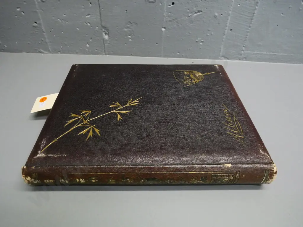 album of early Dunedin photographs presented by Coxhead studios to Wertheim family. Photos good, chips to some pages Image 1++