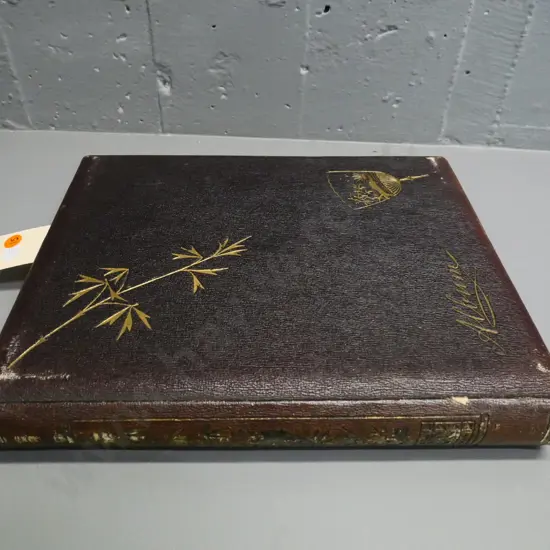 album of early Dunedin photographs presented by Coxhead studios to Wertheim family. Photos good, chips to some pages