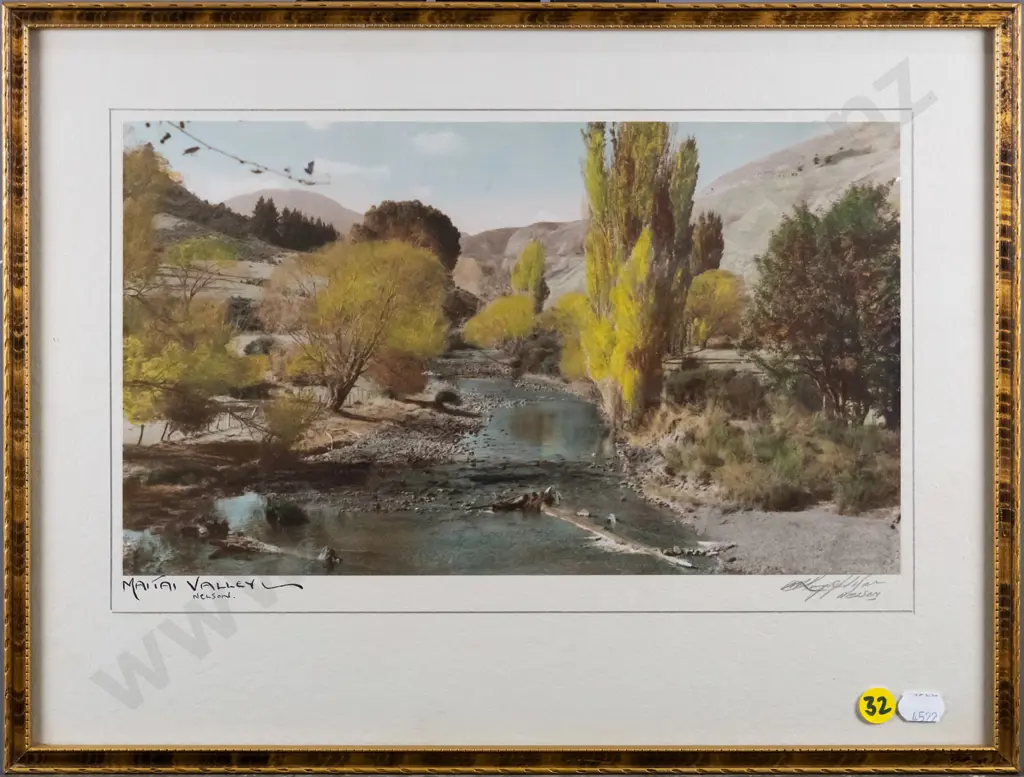 framed hand coloured vintage photograph - Maitai Valley Nelson H-170 W-290 Image 1++