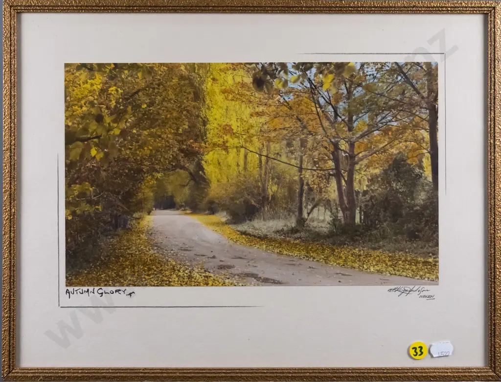 framed hand coloured vintage photograph - Autumn Glory H-170 W-290 Image 1++