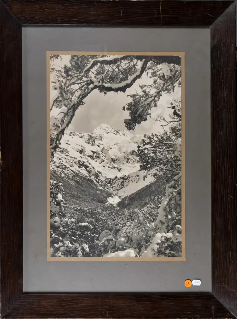 WD Frazer 29.8.29 - framed black and white photograph - Mt Rolleston from Orira Gorge Road H-390 W-250 Image 1++