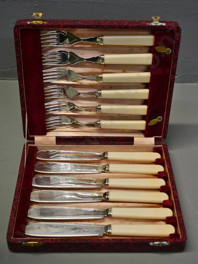 cased set of bone-handled plated fish knives and forks Image 1++